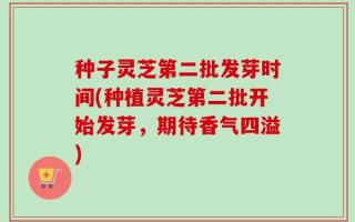 种子灵芝第二批发芽时间(种植灵芝第二批开始发芽，期待香气四溢)