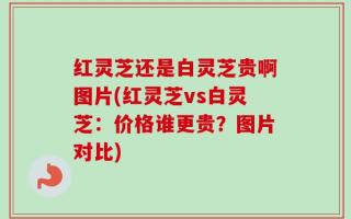 红灵芝还是白灵芝贵啊图片(红灵芝vs白灵芝：价格谁更贵？图片对比)