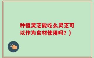 种植灵芝能吃么灵芝可以作为食材使用吗？)