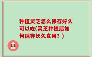 种植灵芝怎么保存好久可以吃(灵芝种植后如何保存长久食用？)