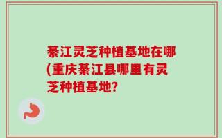 綦江灵芝种植基地在哪(重庆綦江县哪里有灵芝种植基地？