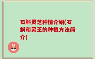 石斛灵芝种植介绍(石斛和灵芝的种植方法简介)