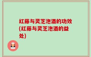 红藤与灵芝泡酒的功效(红藤与灵芝泡酒的益处)