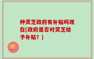 种灵芝政府有补贴吗现在(政府是否对灵芝给予补贴？)
