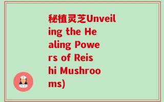 秘植灵芝Unveiling the Healing Powers of Reishi Mushrooms)