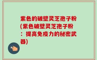 紫色的破壁灵芝孢子粉(紫色破壁灵芝孢子粉：提高免疫力的秘密武器)