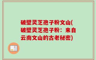破壁灵芝孢子粉文山(破壁灵芝孢子粉：来自云南文山的古老秘密)