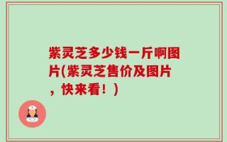 紫灵芝多少钱一斤啊图片(紫灵芝售价及图片，快来看！)
