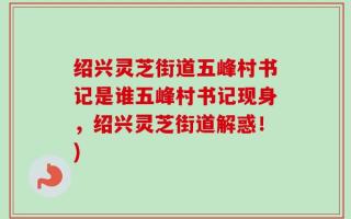 绍兴灵芝街道五峰村书记是谁五峰村书记现身，绍兴灵芝街道解惑！)