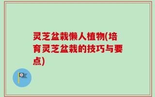 灵芝盆栽懒人植物(培育灵芝盆栽的技巧与要点)