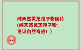 纯天然灵芝孢子粉图片(纯天然灵芝孢子粉：见证自然奇迹！)