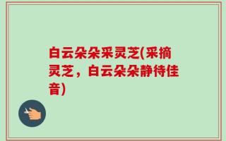 白云朵朵采灵芝(采摘灵芝，白云朵朵静待佳音)