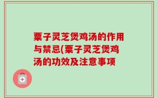 粟子灵芝煲鸡汤的作用与禁忌(粟子灵芝煲鸡汤的功效及注意事项