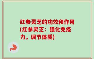 红参灵芝的功效和作用(红参灵芝：强化免疫力，调节体质)