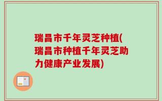 瑞昌市千年灵芝种植(瑞昌市种植千年灵芝助力健康产业发展)