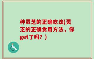 种灵芝的正确吃法(灵芝的正确食用方法，你get了吗？)