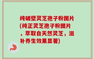 纯破壁灵芝孢子粉图片(纯正灵芝孢子粉图片，萃取自天然灵芝，滋补养生效果显著)