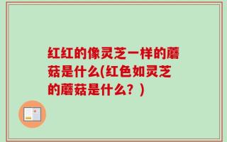 红红的像灵芝一样的蘑菇是什么(红色如灵芝的蘑菇是什么？)