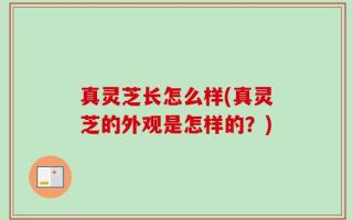 真灵芝长怎么样(真灵芝的外观是怎样的？)