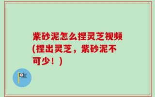 紫砂泥怎么捏灵芝视频(捏出灵芝，紫砂泥不可少！)
