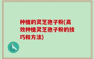 种植的灵芝孢子粉(高效种植灵芝孢子粉的技巧和方法)