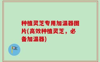 种植灵芝专用加温器图片(高效种植灵芝，必备加温器)