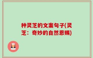 种灵芝的文案句子(灵芝：奇妙的自然恩赐)