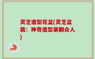 灵芝造型花盆(灵芝盆栽：神奇造型萌翻众人)