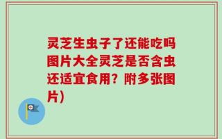 灵芝生虫子了还能吃吗图片大全灵芝是否含虫还适宜食用？附多张图片)