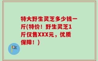 特大野生灵芝多少钱一斤(特价！野生灵芝1斤仅售XXX元，优质保障！)