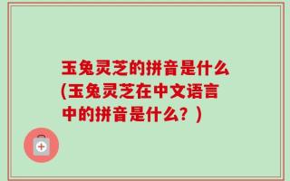 玉兔灵芝的拼音是什么(玉兔灵芝在中文语言中的拼音是什么？)