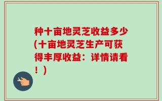 种十亩地灵芝收益多少(十亩地灵芝生产可获得丰厚收益：详情请看！)