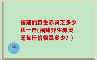 福建的野生赤灵芝多少钱一斤(福建野生赤灵芝每斤价格是多少？)