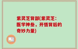 紫灵芝背部(紫灵芝：医学神叁，开悟背后的奇妙力量)