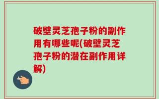 破壁灵芝孢子粉的副作用有哪些呢(破壁灵芝孢子粉的潜在副作用详解)