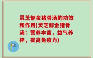 灵芝郁金猪骨汤的功效和作用(灵芝郁金猪骨汤：营养丰富，益气养神，提高免疫力)