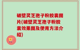 破壁灵芝孢子粉胶囊图片(破壁灵芝孢子粉胶囊效果图及使用方法介绍)