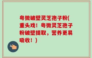 粤微破壁灵芝孢子粉(重头戏！粤微灵芝孢子粉破壁提取，营养更易吸收！)