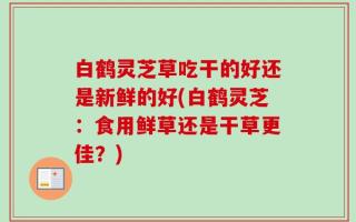 白鹤灵芝草吃干的好还是新鲜的好(白鹤灵芝：食用鲜草还是干草更佳？)
