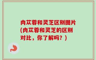 肉苁蓉和灵芝区别图片(肉苁蓉和灵芝的区别对比，你了解吗？)