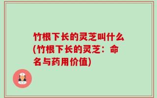 竹根下长的灵芝叫什么(竹根下长的灵芝：命名与药用价值)