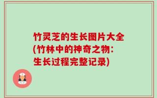 竹灵芝的生长图片大全(竹林中的神奇之物：生长过程完整记录)