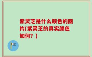紫灵芝是什么颜色的图片(紫灵芝的真实颜色如何？)