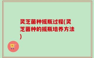 灵芝菌种摇瓶过程(灵芝菌种的摇瓶培养方法)