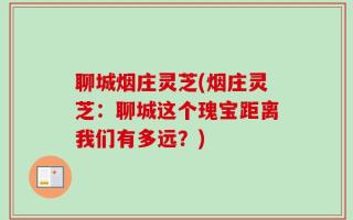 聊城烟庄灵芝(烟庄灵芝：聊城这个瑰宝距离我们有多远？)