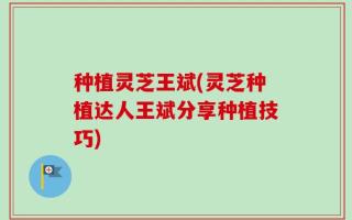 种植灵芝王斌(灵芝种植达人王斌分享种植技巧)