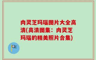 肉灵芝玛瑙图片大全高清(高清图集：肉灵芝玛瑙的精美照片合集)