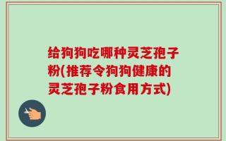 给狗狗吃哪种灵芝孢子粉(推荐令狗狗健康的灵芝孢子粉食用方式)