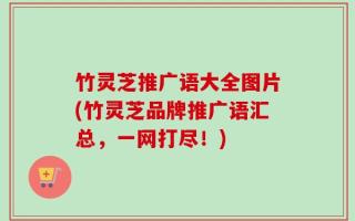 竹灵芝推广语大全图片(竹灵芝品牌推广语汇总，一网打尽！)