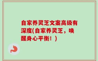 自家养灵芝文案高级有深度(自家养灵芝，唤醒身心平衡！)